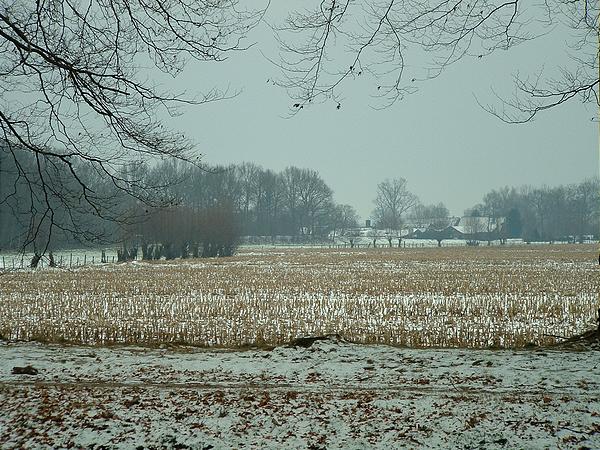 dscf0006.jpg