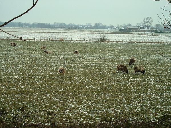 dscf0010.jpg