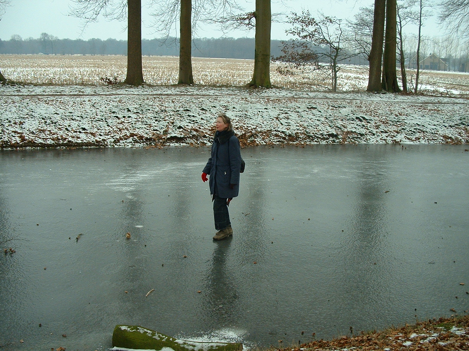 dscf0005.jpg
