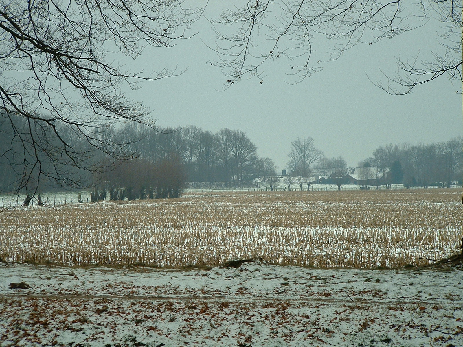 dscf0006.jpg