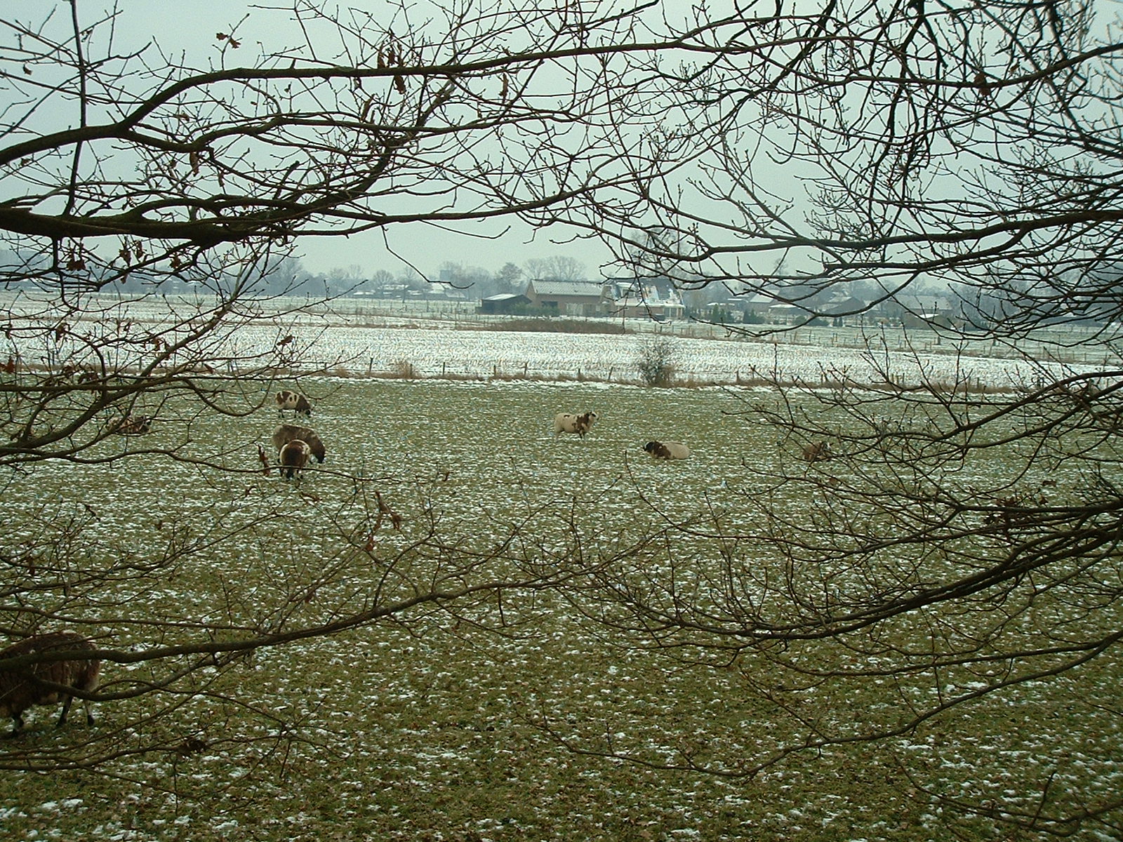 dscf0011.jpg