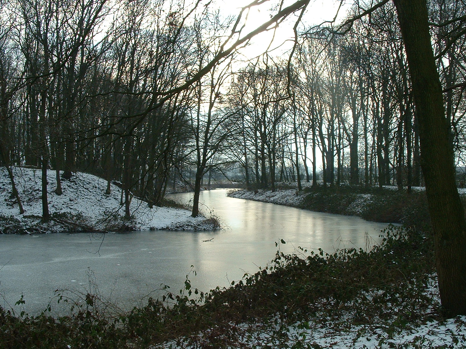 dscf0013.jpg
