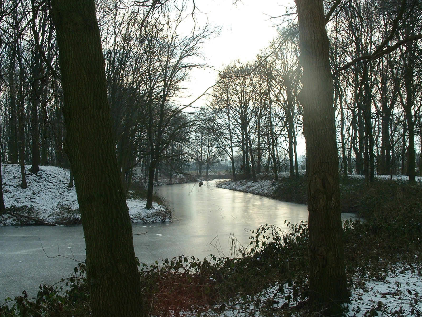 dscf0014.jpg