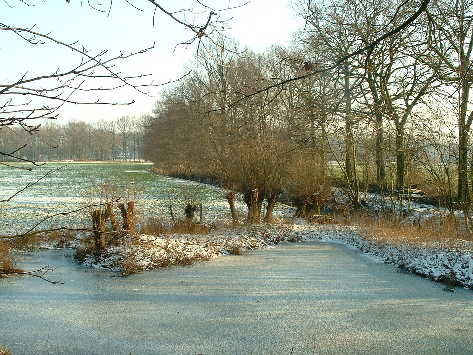 dscf0021.jpg